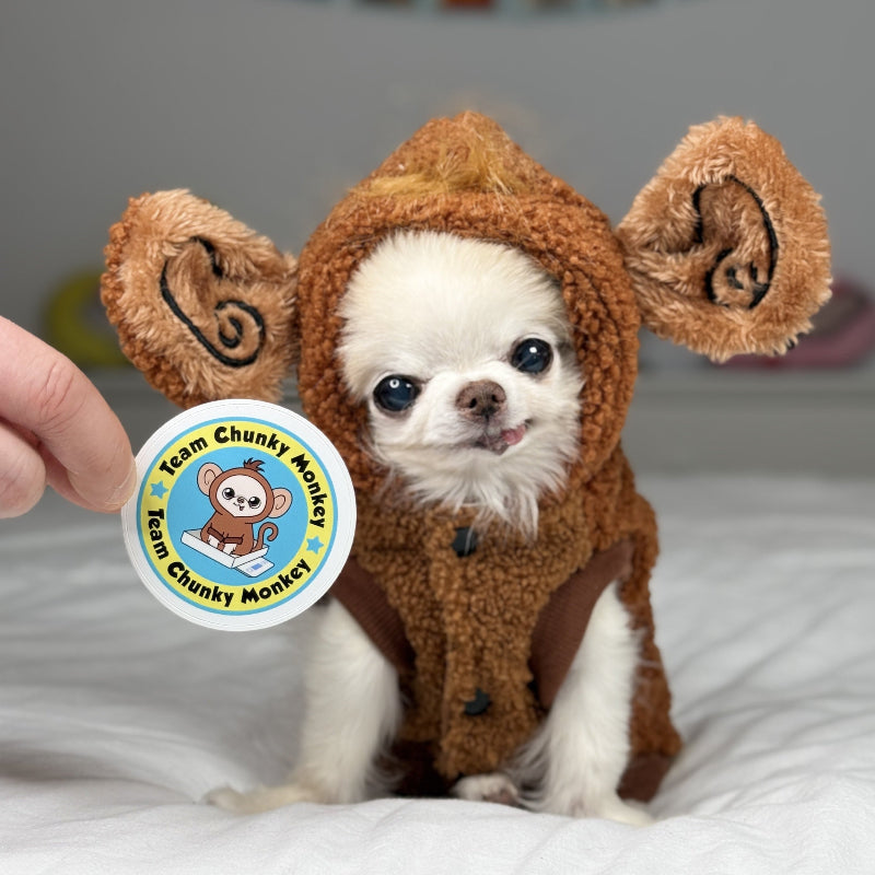 Small dog wearing a brown monkey costume with a 'Team Chunky Monkey' badge.