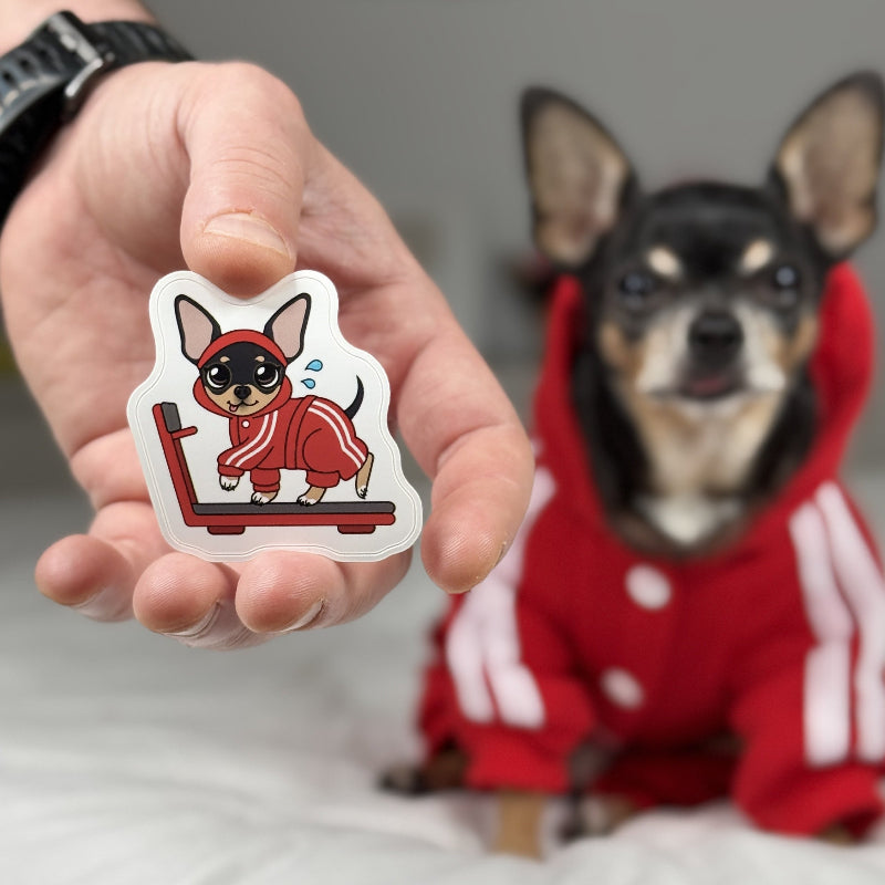 Person holding a sticker of a dog in a red outfit with a real dog in a red outfit in the background.
