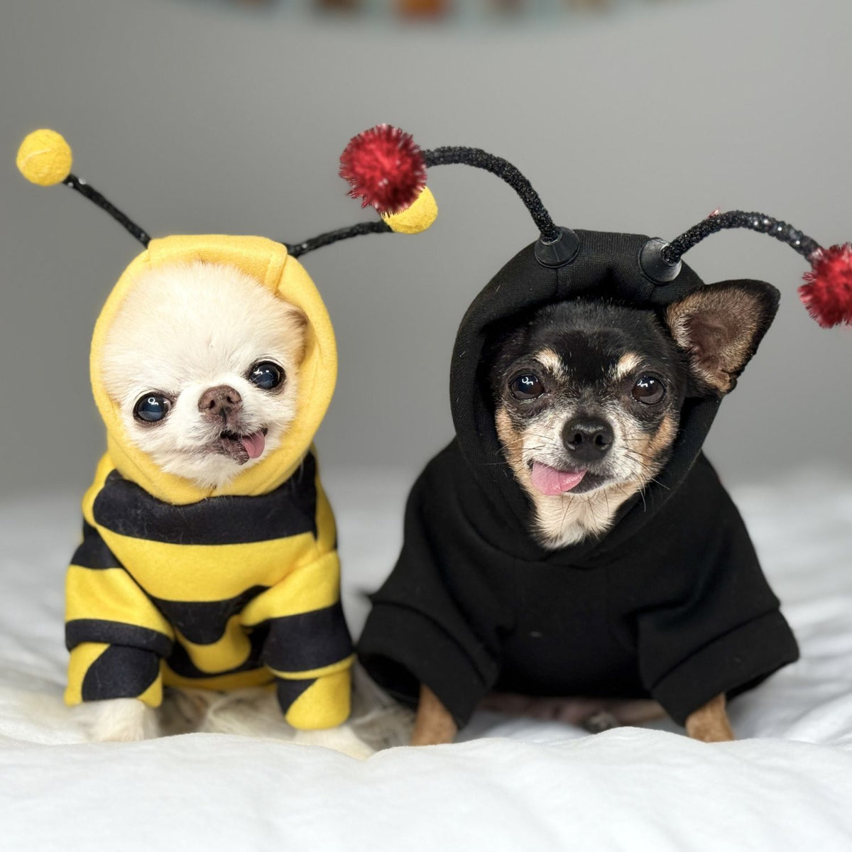 Cedric and Maya in their Bug-Chis costumes