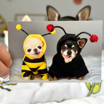A hand holds a printed photo of two small dogs in costumes, with one dog dressed as a yellow and black bee and the other in a black hooded costume. A real dog is visible in the blurred background.