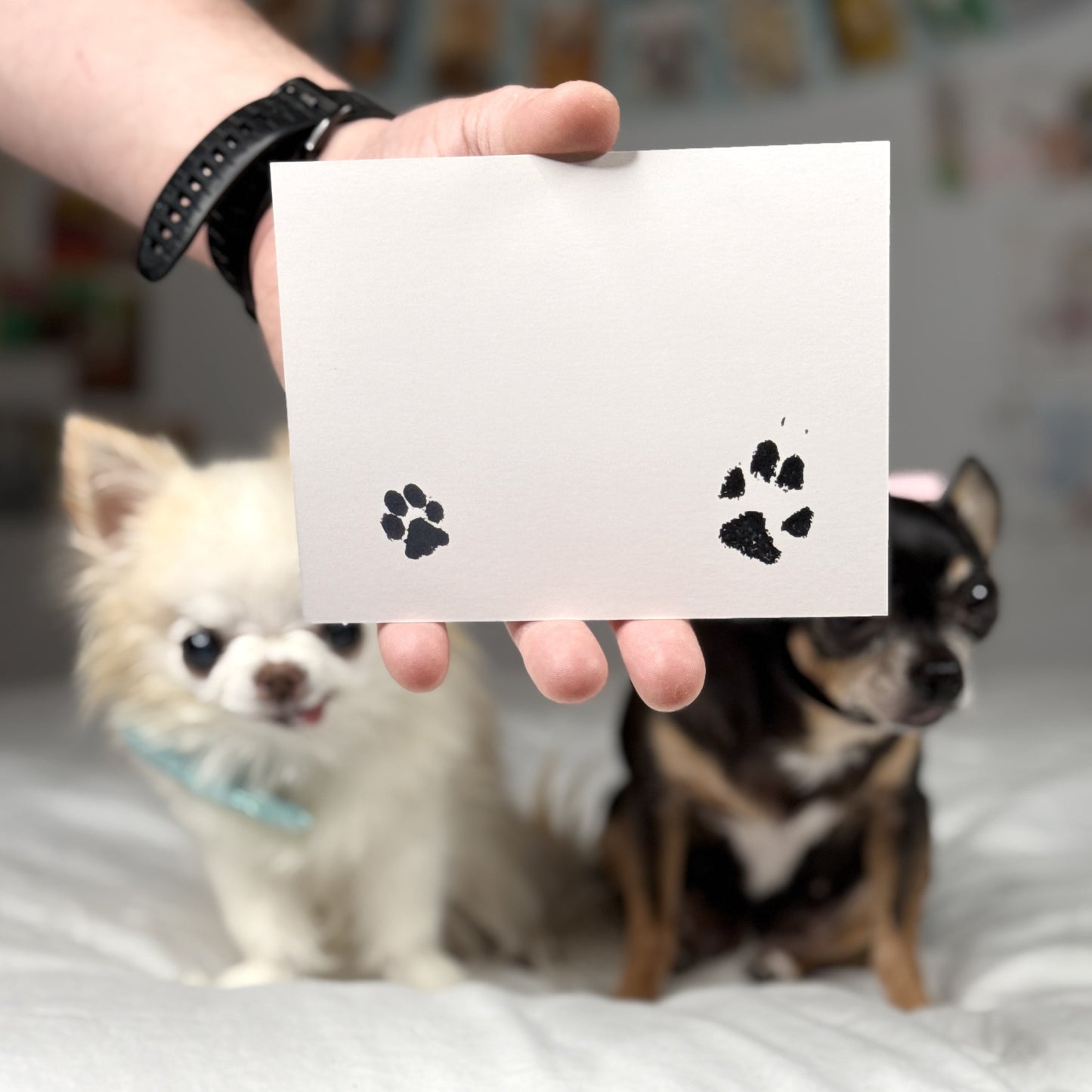 Back of the Valentine postcard featuring two black paw prints on a clean white background.