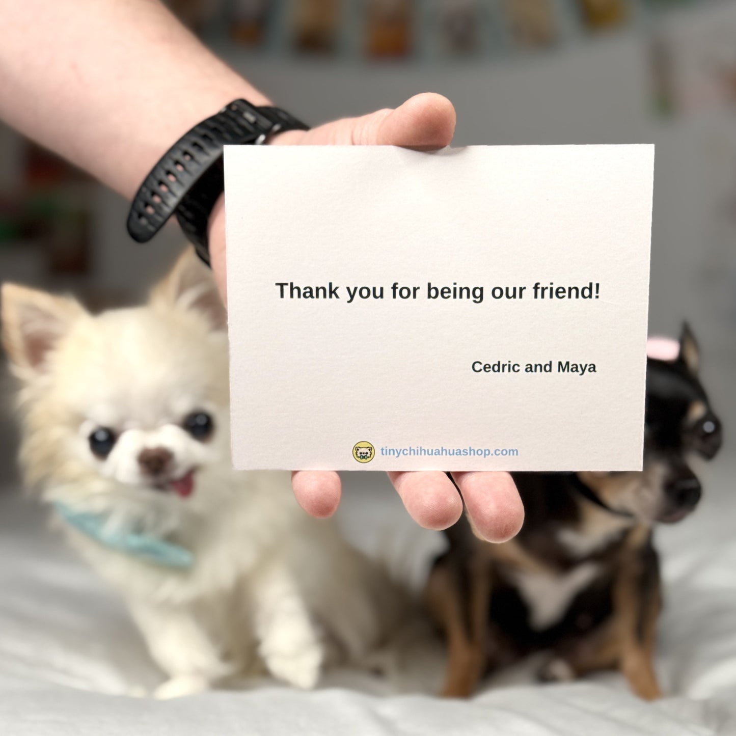 Thank-you note from Cedric and Maya saying 'Thank you for being our friend!' printed on the white back of the postcard.