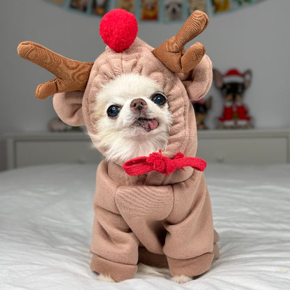Small dog wearing a reindeer costume with a red nose and antlers on a bed.