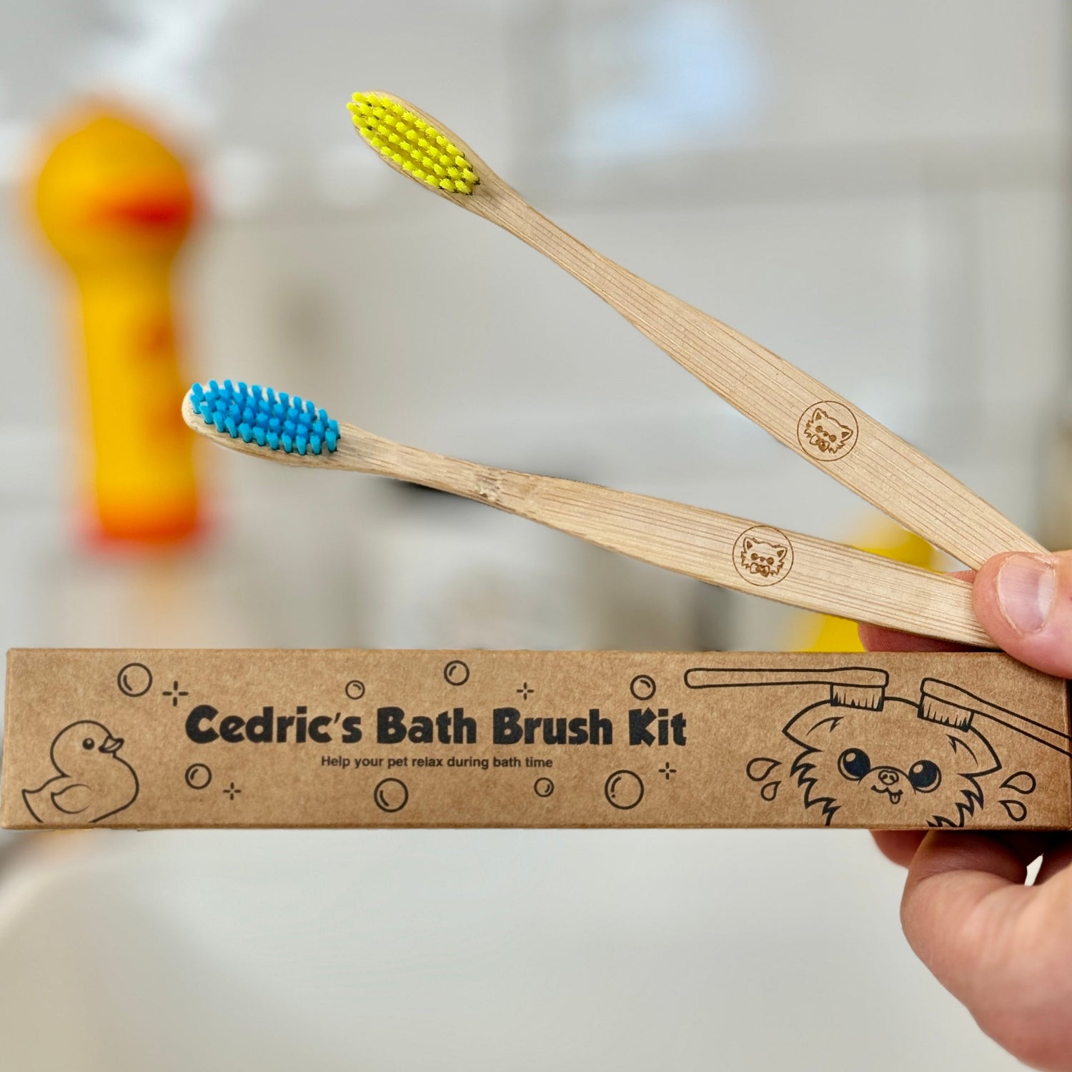 Overview of Cedric's Bath Brush Kit
