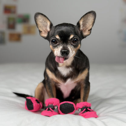 Front view of a Chihuahua wearing pink waterproof small dog boots on a white bed.