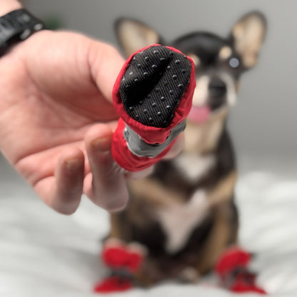 Closeup of the anti-slip sole of a red small dog boot, held in front of a Chihuahua wearing matching red boots.