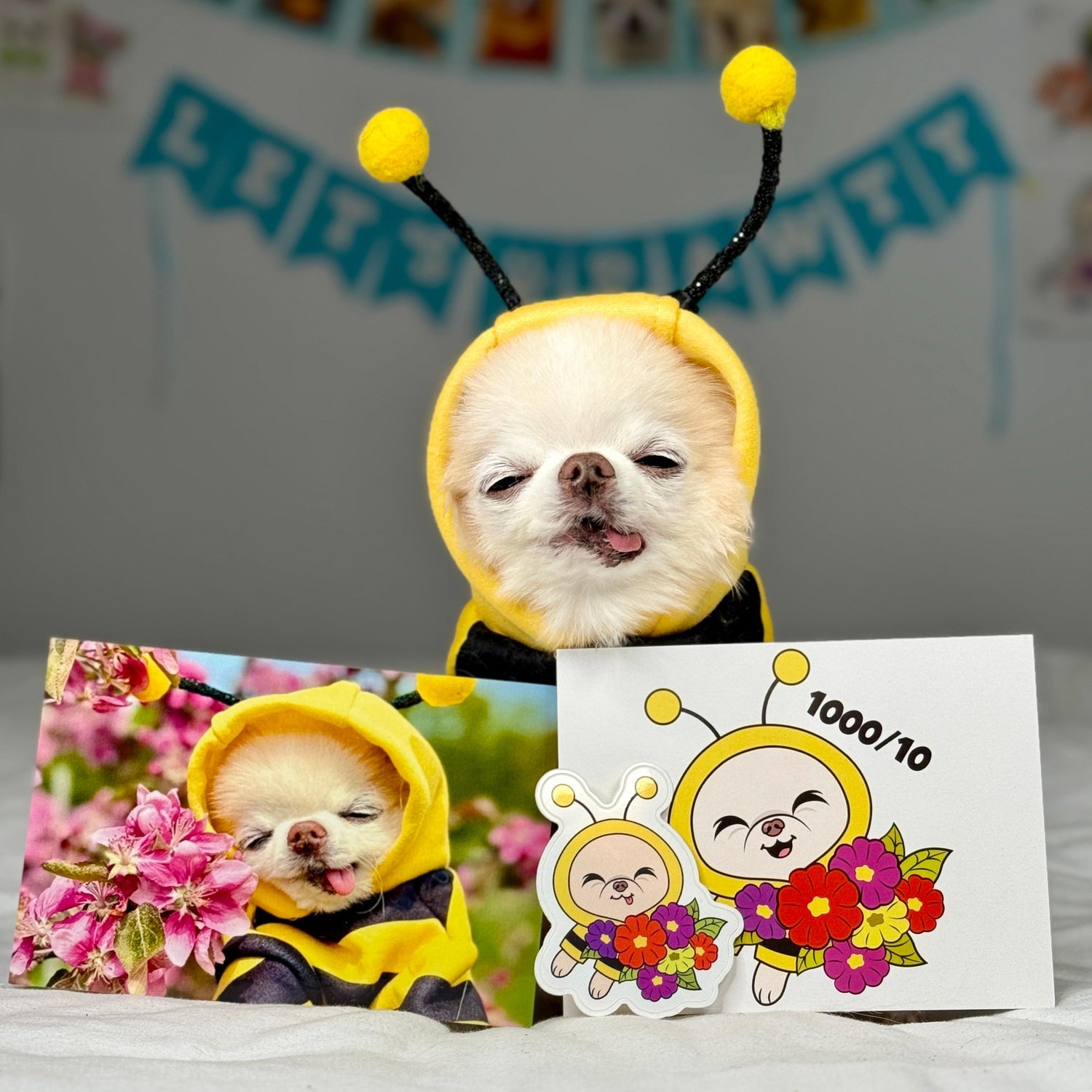 Pawdographed Beedric Bundle
