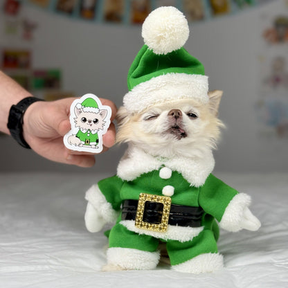 Elf Cedric Sticker shown with a real Chihuahua dressed in a festive green elf costume, highlighting the holiday spirit and playful design.