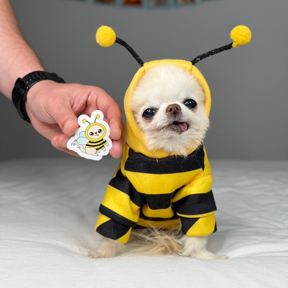 Small dog wearing a bee costume with a person holding a bee-themed sticker.