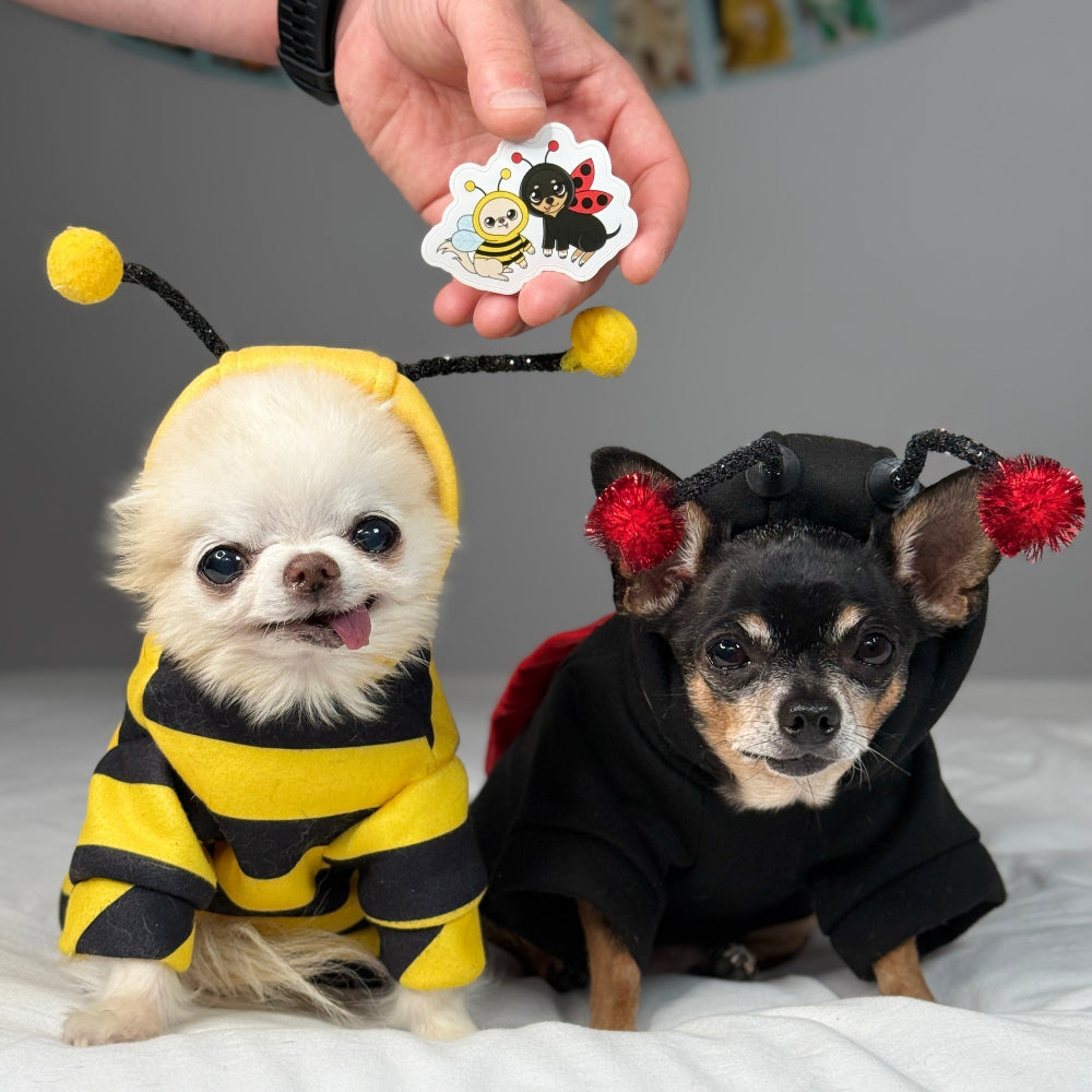 Two small dogs in costumes, one in a bee and the other a lady bug, with a person holding a sticker above them.