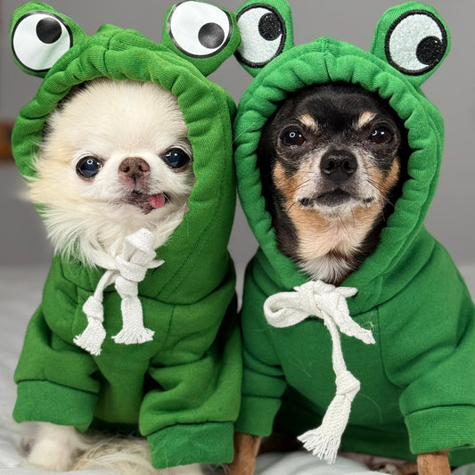 Chihuahua wearing a green frog Halloween costume with an oversized googly-eye hood.
