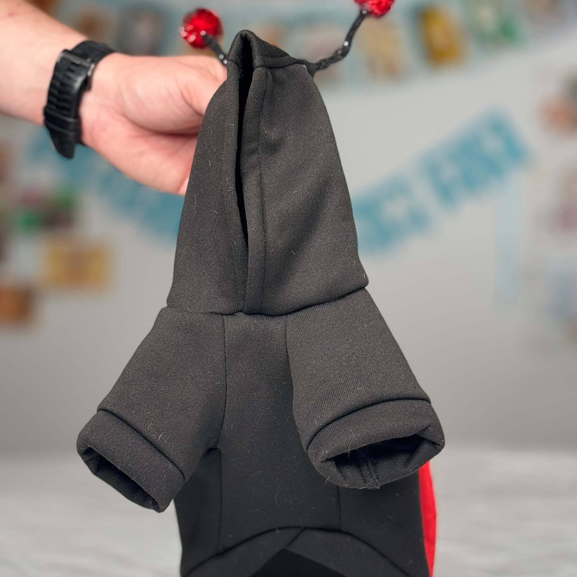 Detailed view of the black hoody design of Maya’s ladybug costume for small dogs.