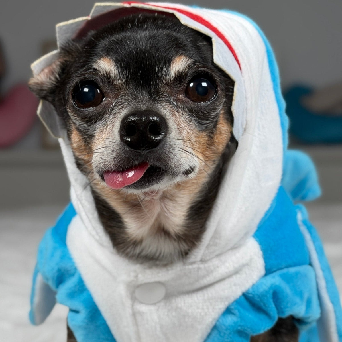 Close-up of Maya’s face framed by the shark costume’s white hood and teeth