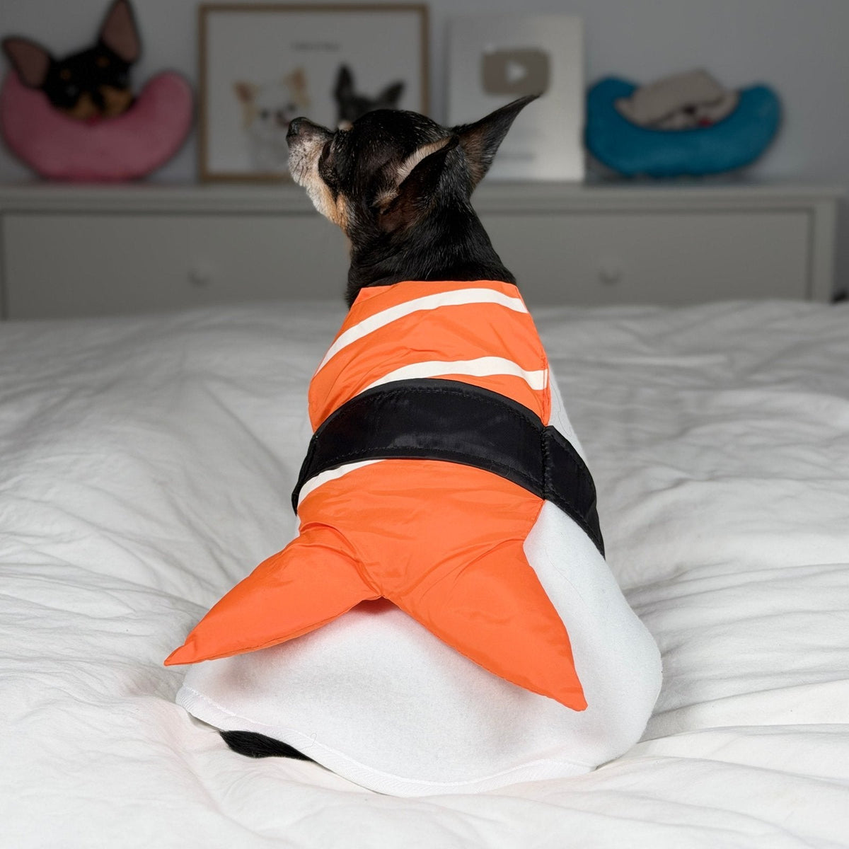 Back view of Maya wearing the shrimp sushi costume with its orange shrimp tail
