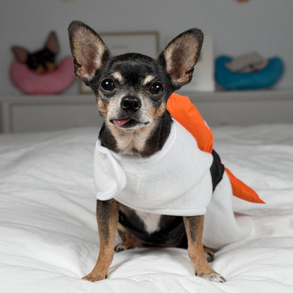 Maya facing forward in the white, orange and black shrimp sushi dog costume