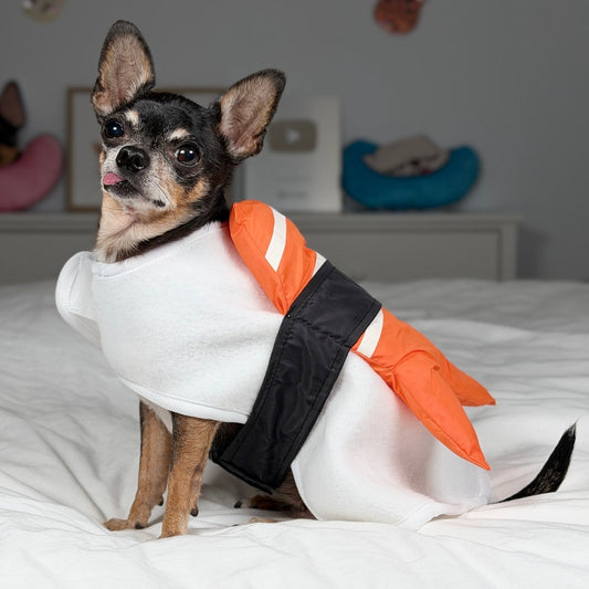 Maya sitting in the shrimp sushi costume, showing the orange topping and black wrap