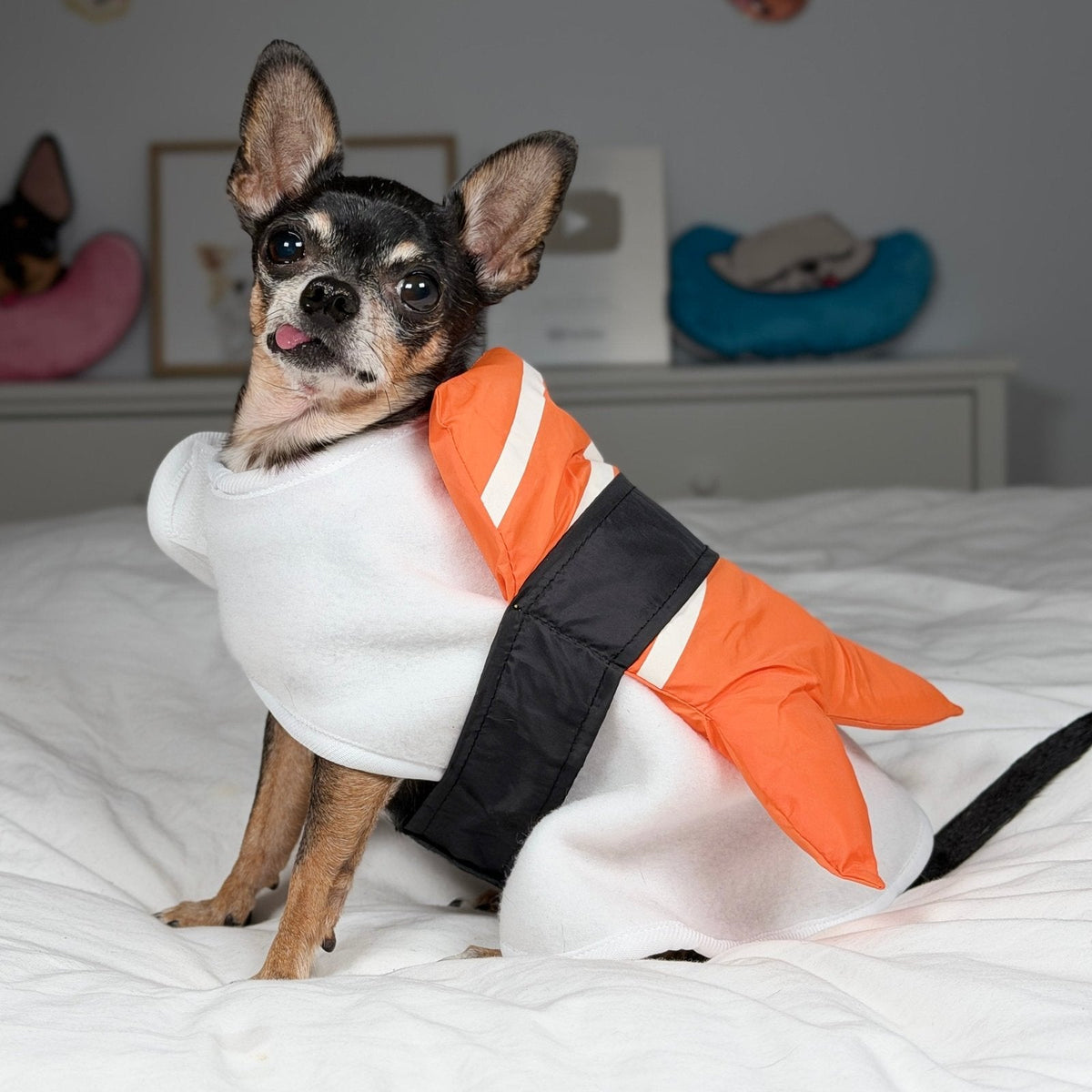 Maya wearing the shrimp sushi costume, viewed from the front and side