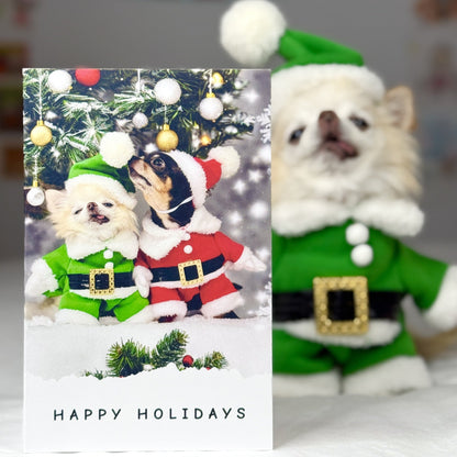 Cedric showing off the cover of Pawdographed Christmas Card from Chihuahua Cedric and Maya.