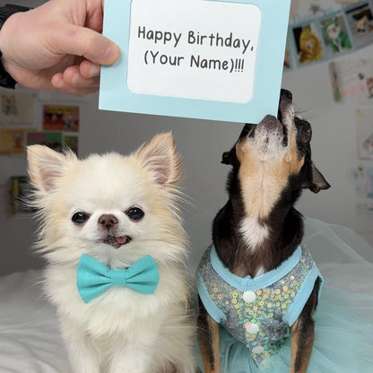 Personalized Video by Tiny Chihuahua Cedric and Maya