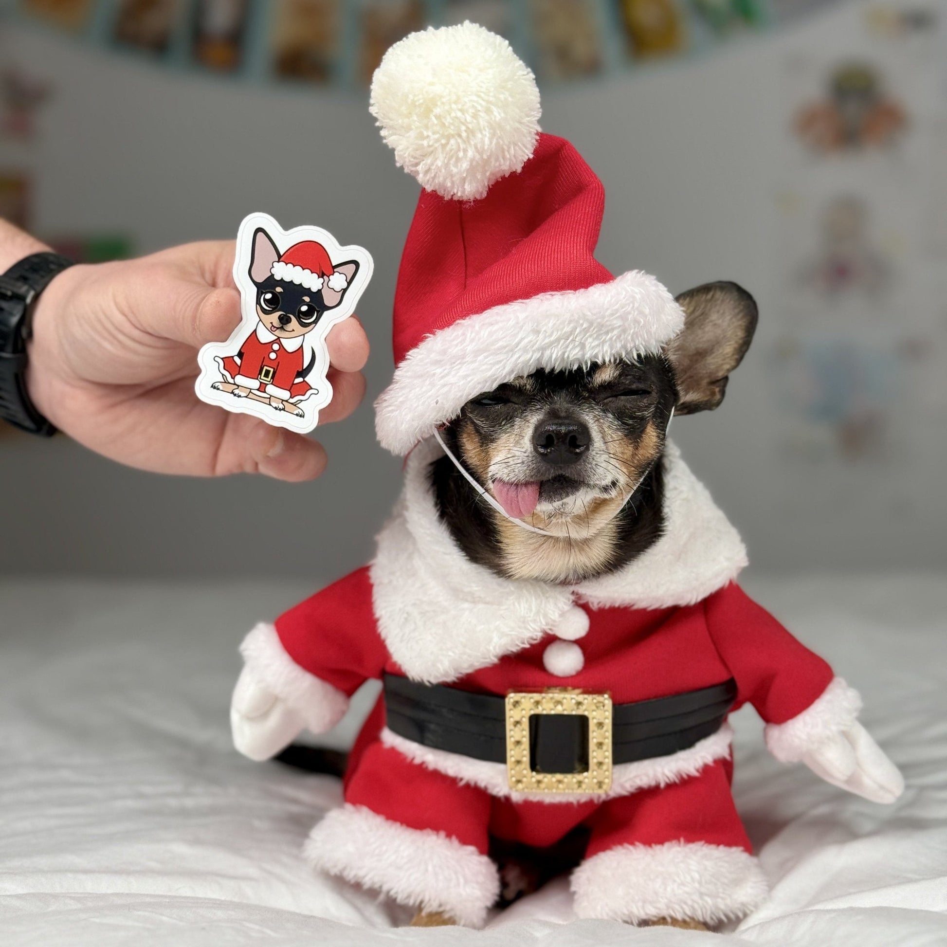 Santa Maya Sticker shown with a real Chihuahua dressed in a Santa Claus costume, highlighting the festive and adorable holiday theme.