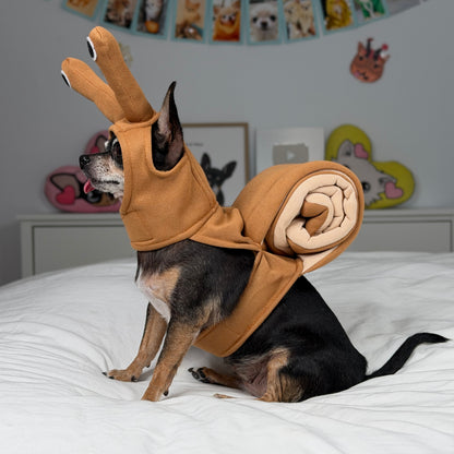 Vue de dos d’un petit chien portant le costume d’escargot brun, avec sa coquille en spirale.