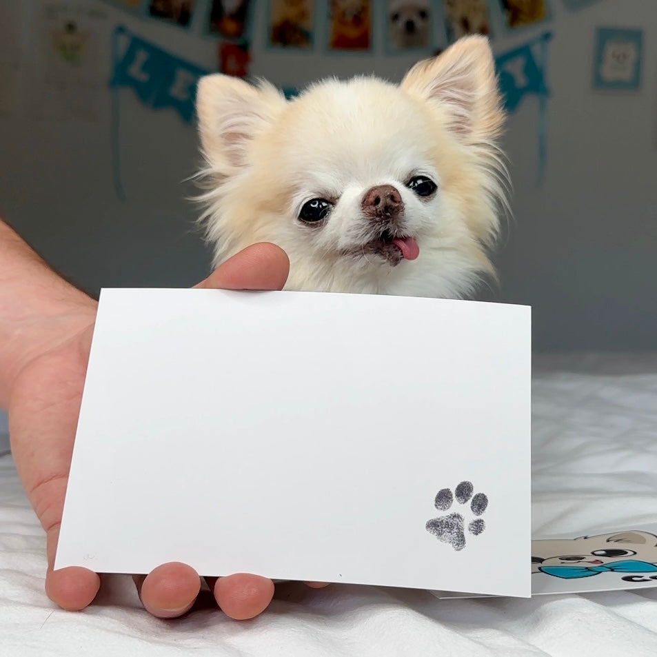 Tiny Chihuahua Cedric's Pawdograph Photo Card Back