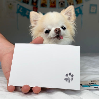 Pawdographed Beedric Bundle - Tiny Chihuahua Shop