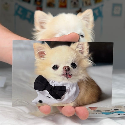 Tiny Chihuahua Cedric's Pawdograph Photo Card Front