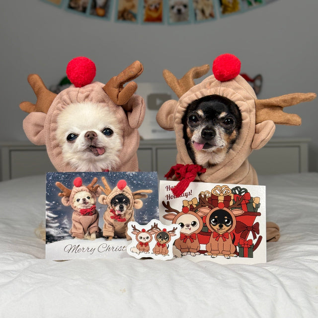 Two dogs wearing reindeer hats with Christmas cards in front of them on a bed.