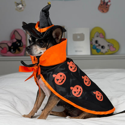 Petit chien vu de côté, portant un chapeau de sorcière pointu et une cape noire à imprimé de citrouilles.