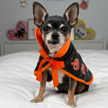 Petit chien portant une cape de sorcière noire ornée d’un imprimé et d’une bordure à citrouilles orange.