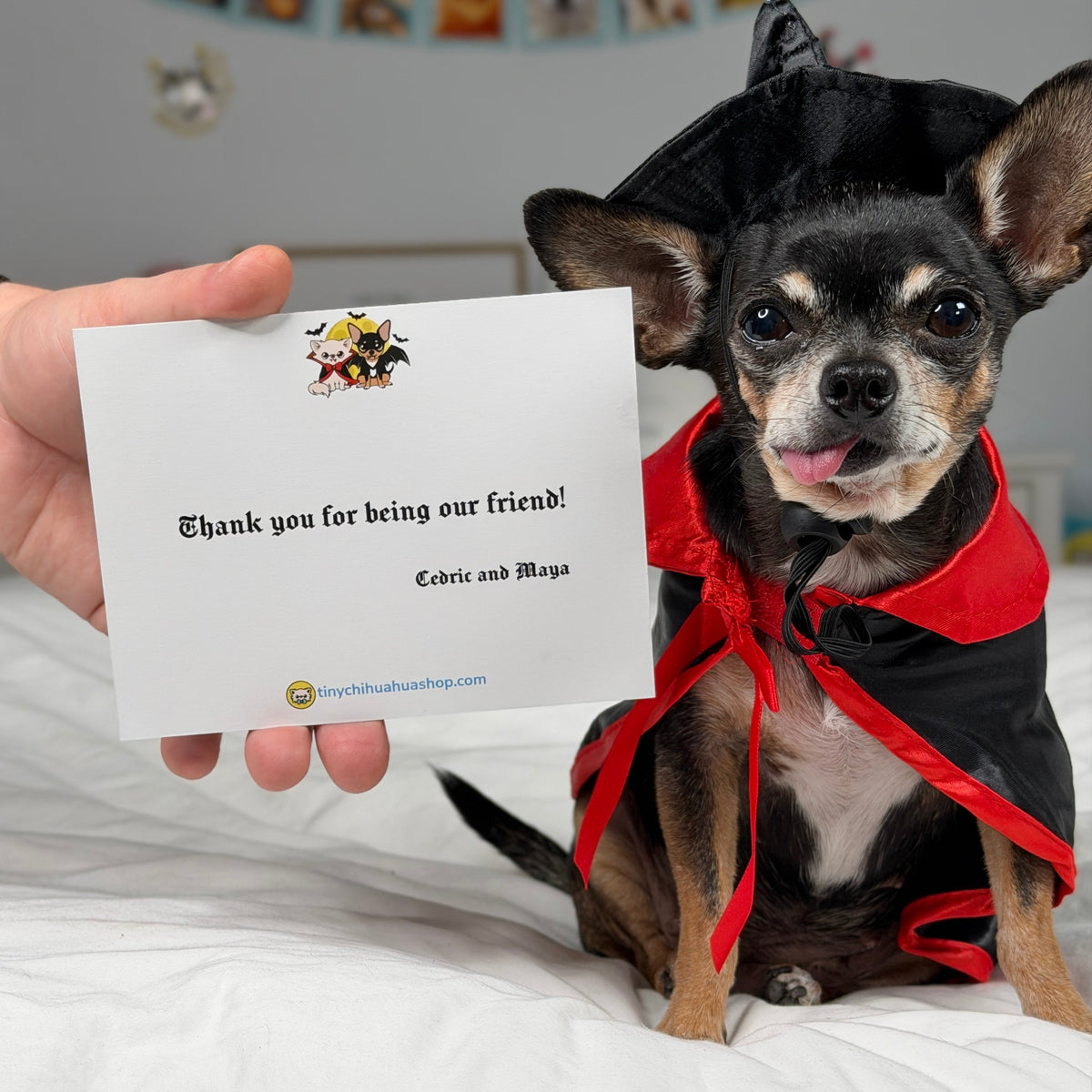 Example reverse of the Vampire Chis Pawdograph photo card with the message Thank you for being our friend, signed Cedric and Maya.